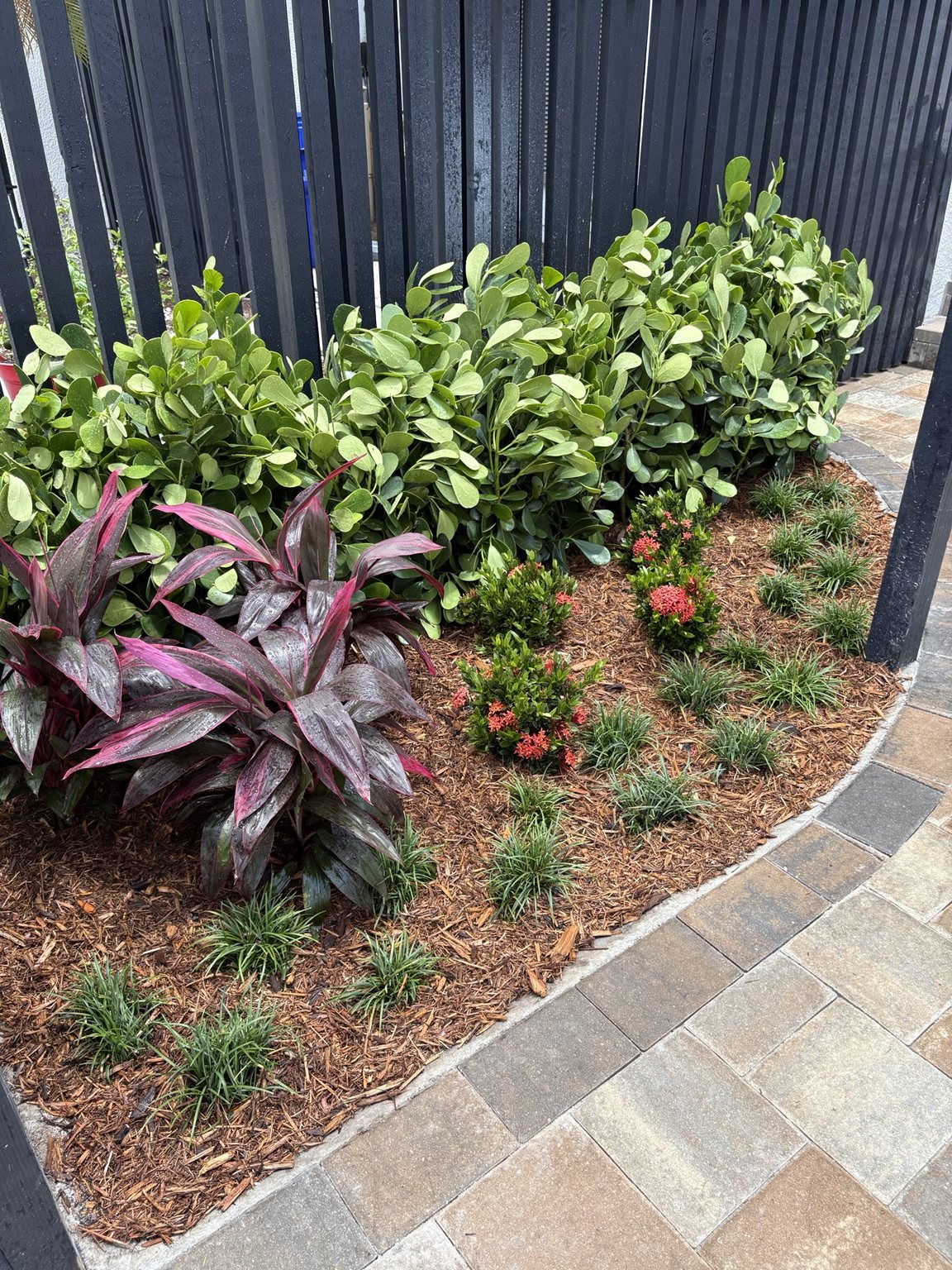 Tropical landscape design