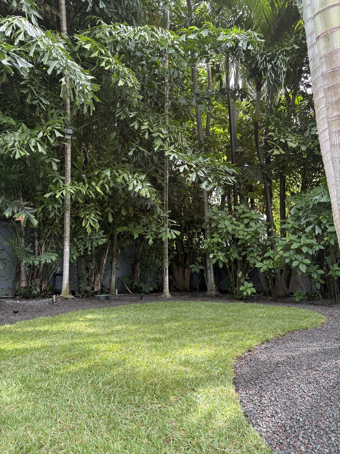 Fence, stone & hardscape details