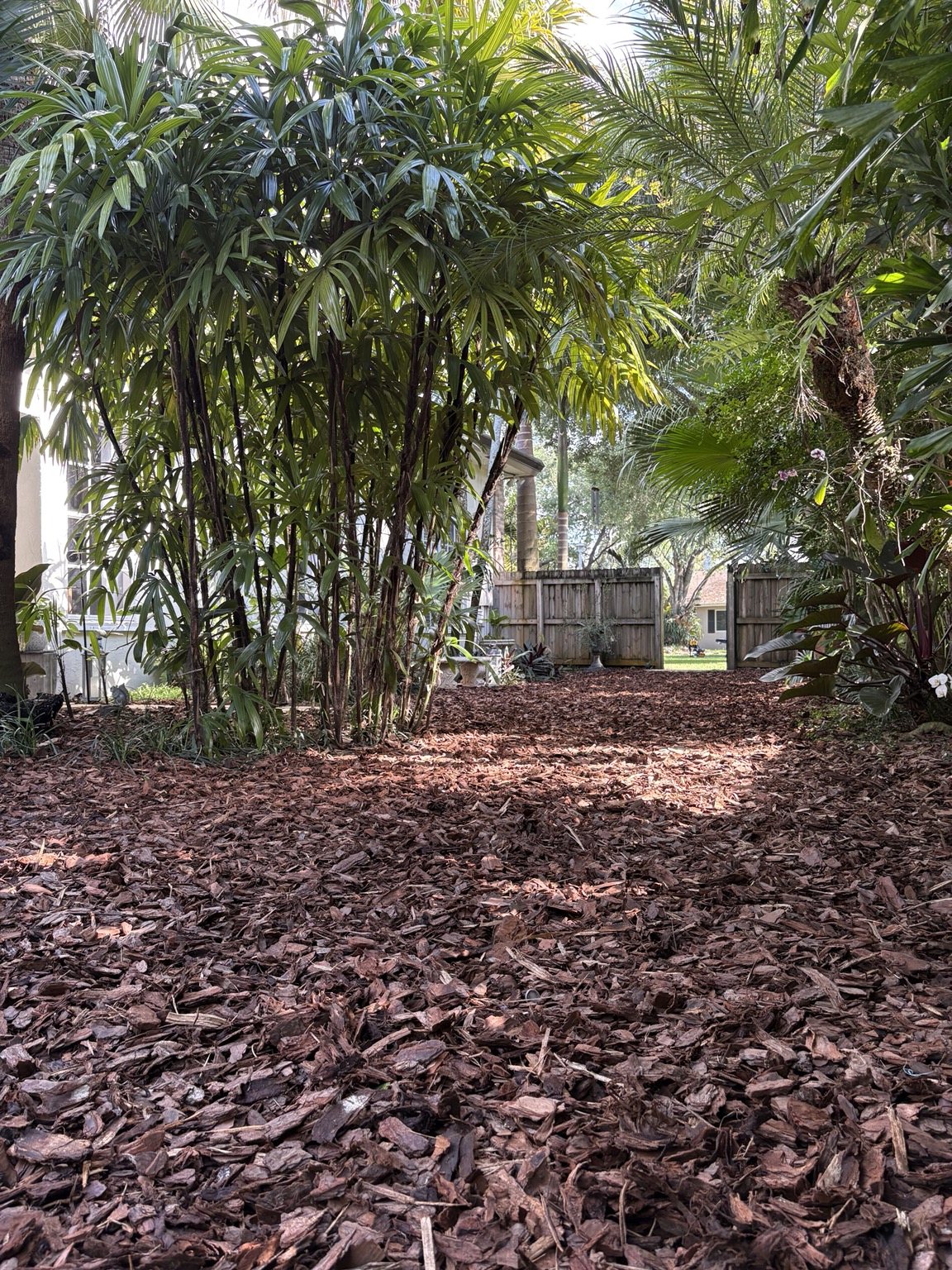 Fence and hardscape project
